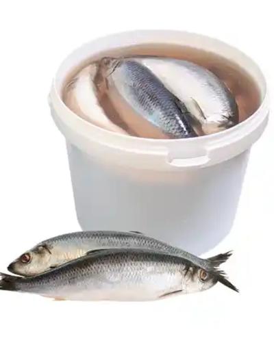 SUPER JUMBO HERRING, 1*24 PER/PAIL